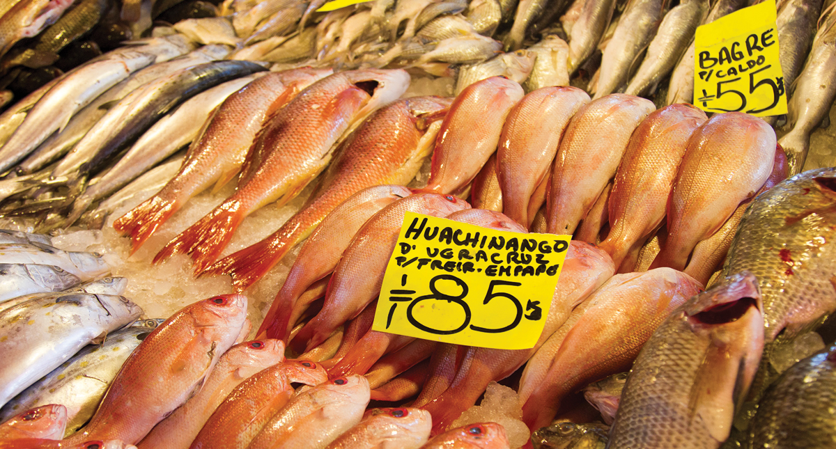Profeco publica lista de precios de pescados