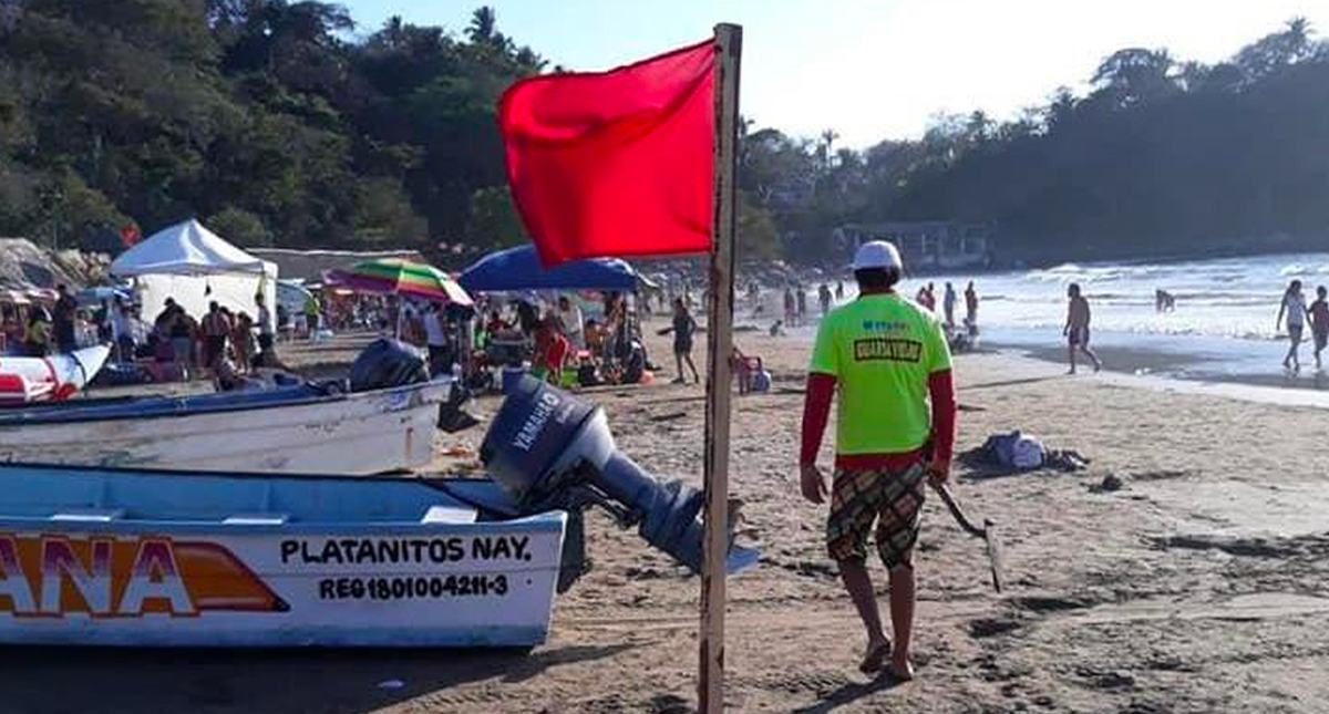 Turistas sufren mordeduras de serpientes marinas en playa de Nayarit