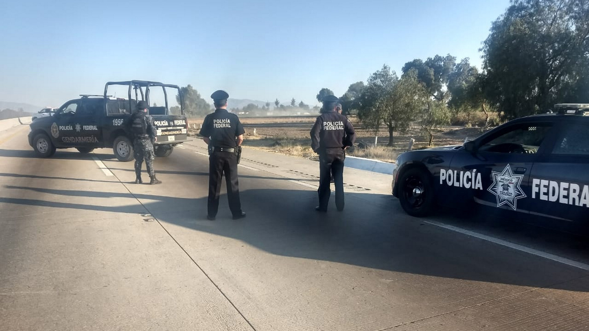 Asesinan a un policía diario en México; suman 528 desde 2018