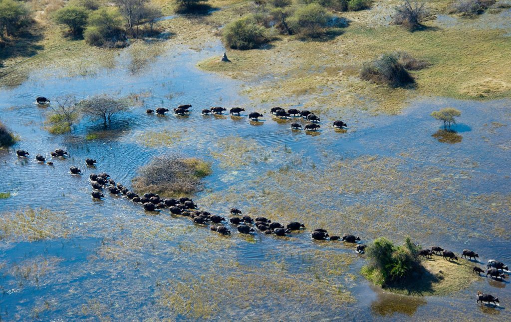 Un recorrido por África - qorokwe-camp