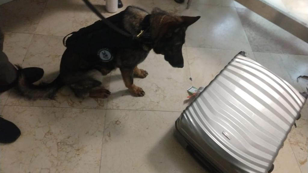 Detienen a mexicana con tres kilos de drogas en Aeropuerto de Cancún