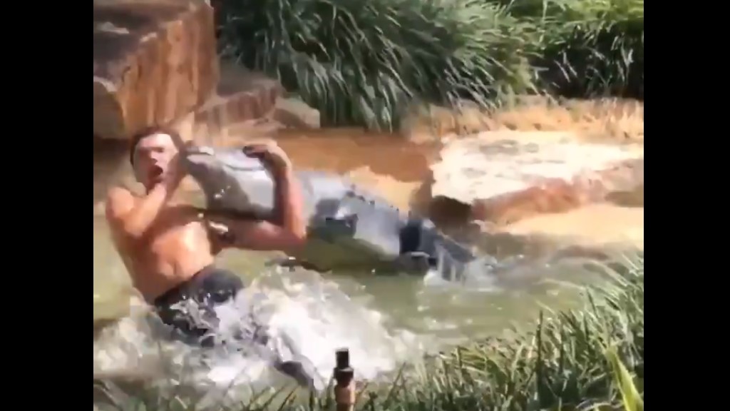 #Video Detienen a joven por hacerle un “RKO” a un cocodrilo falso
