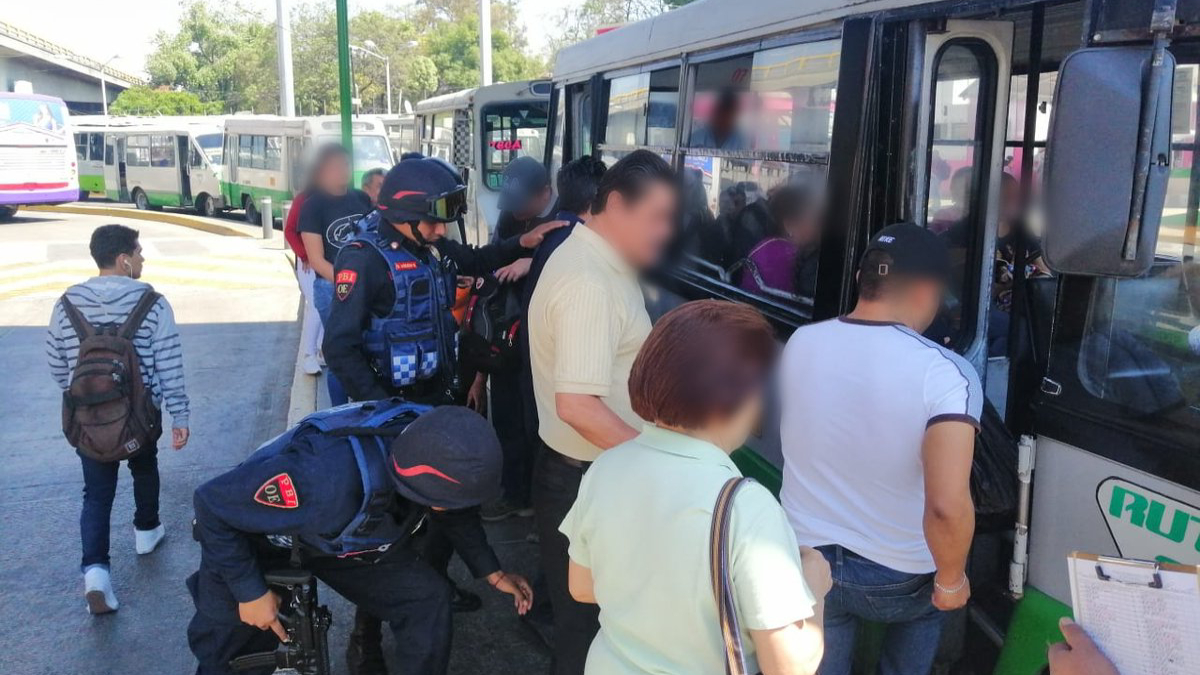 Podría haber resultados positivos en seguridad este 2019: Consejo Ciudadano MX