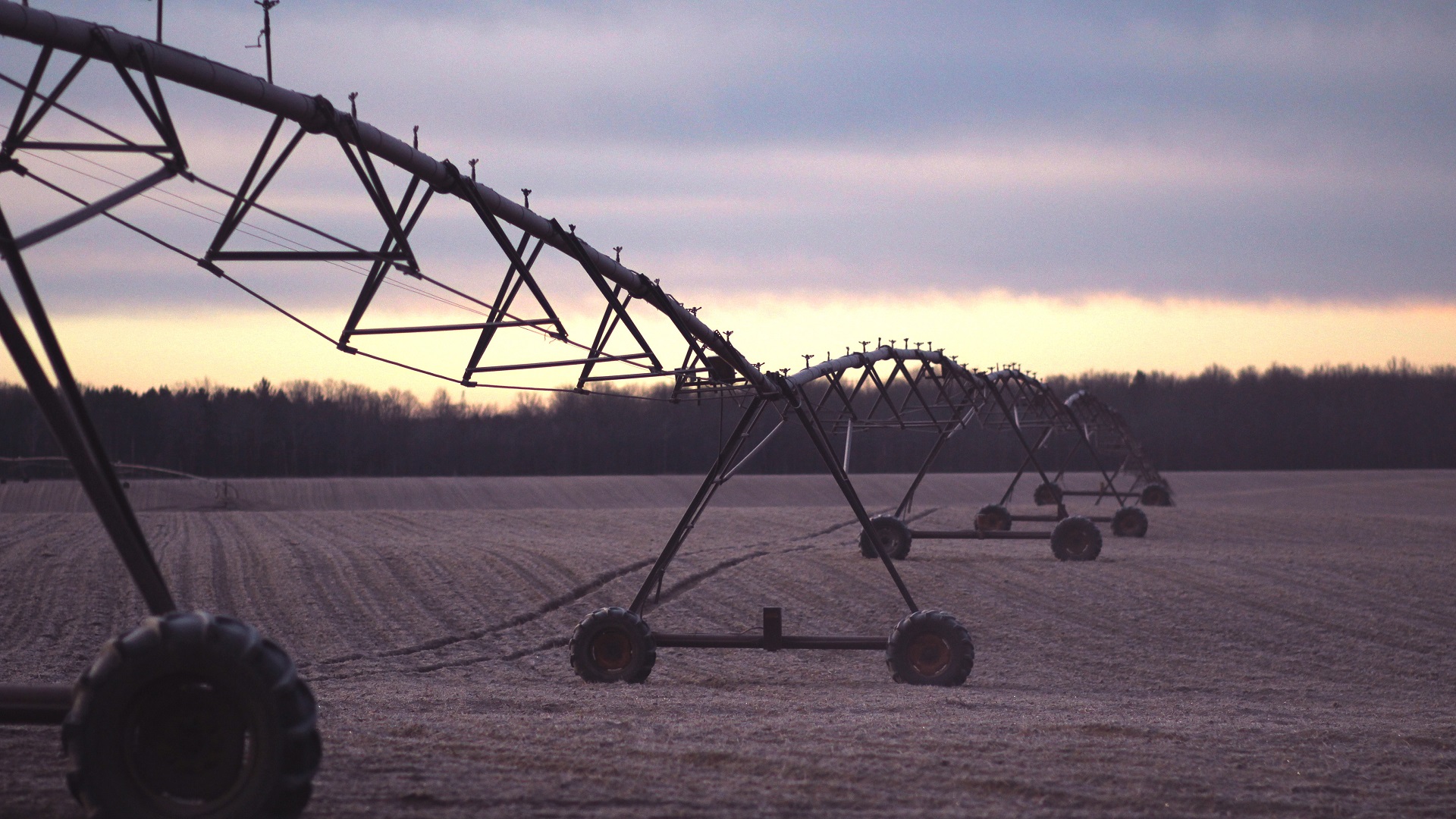 Un millón de especies correrán peligro de extinción pronto: ONU - sistema-utilizado-en-la-agricultura
