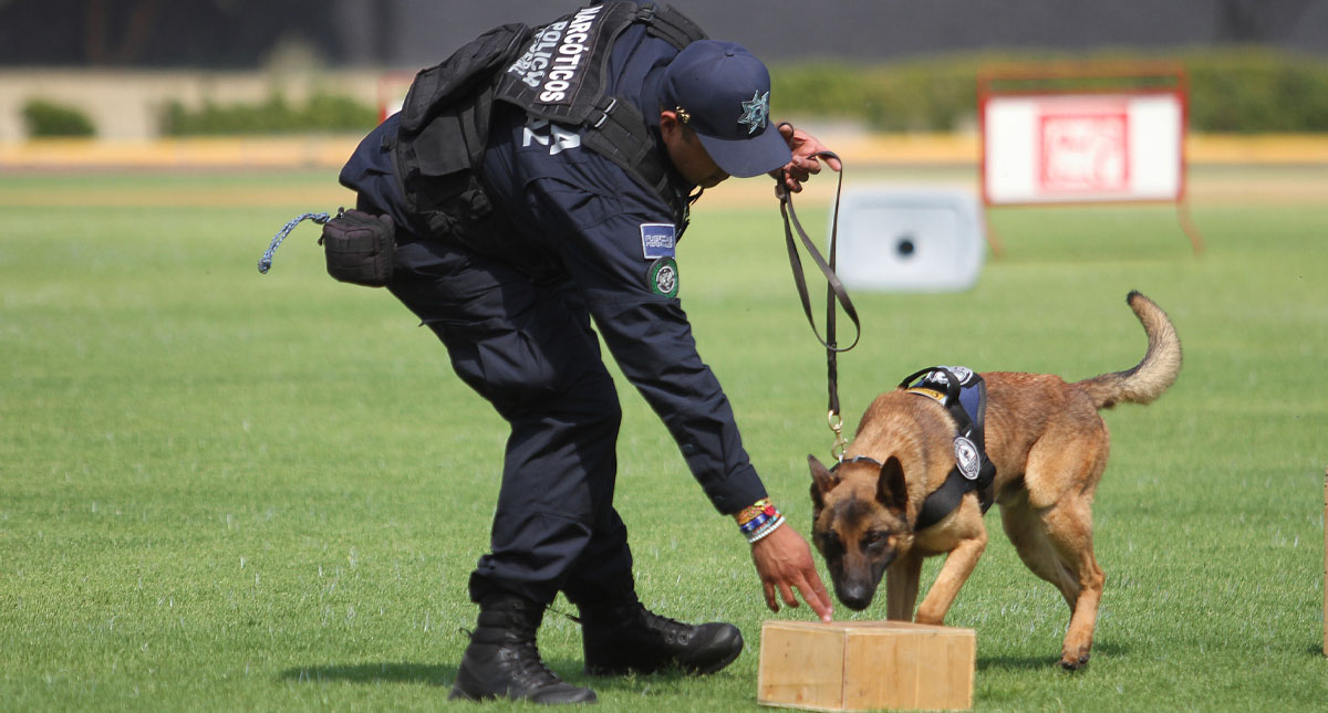 Unidad Canina de la Policía Federal celebra tres décadas de servicio
