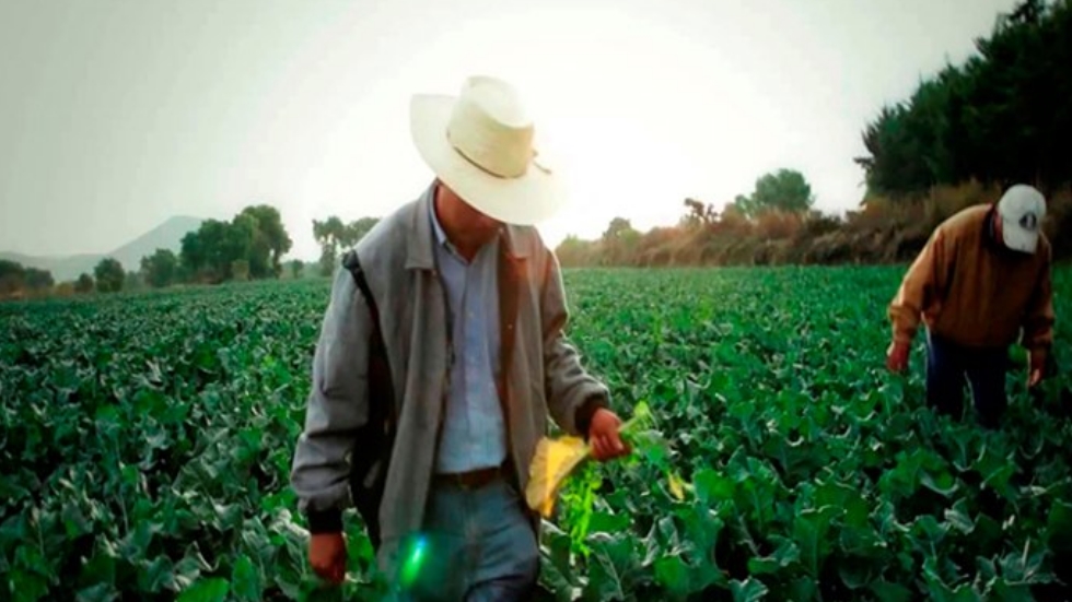 Reforma Laboral podría amenazar al sector agroalimentario: CNA