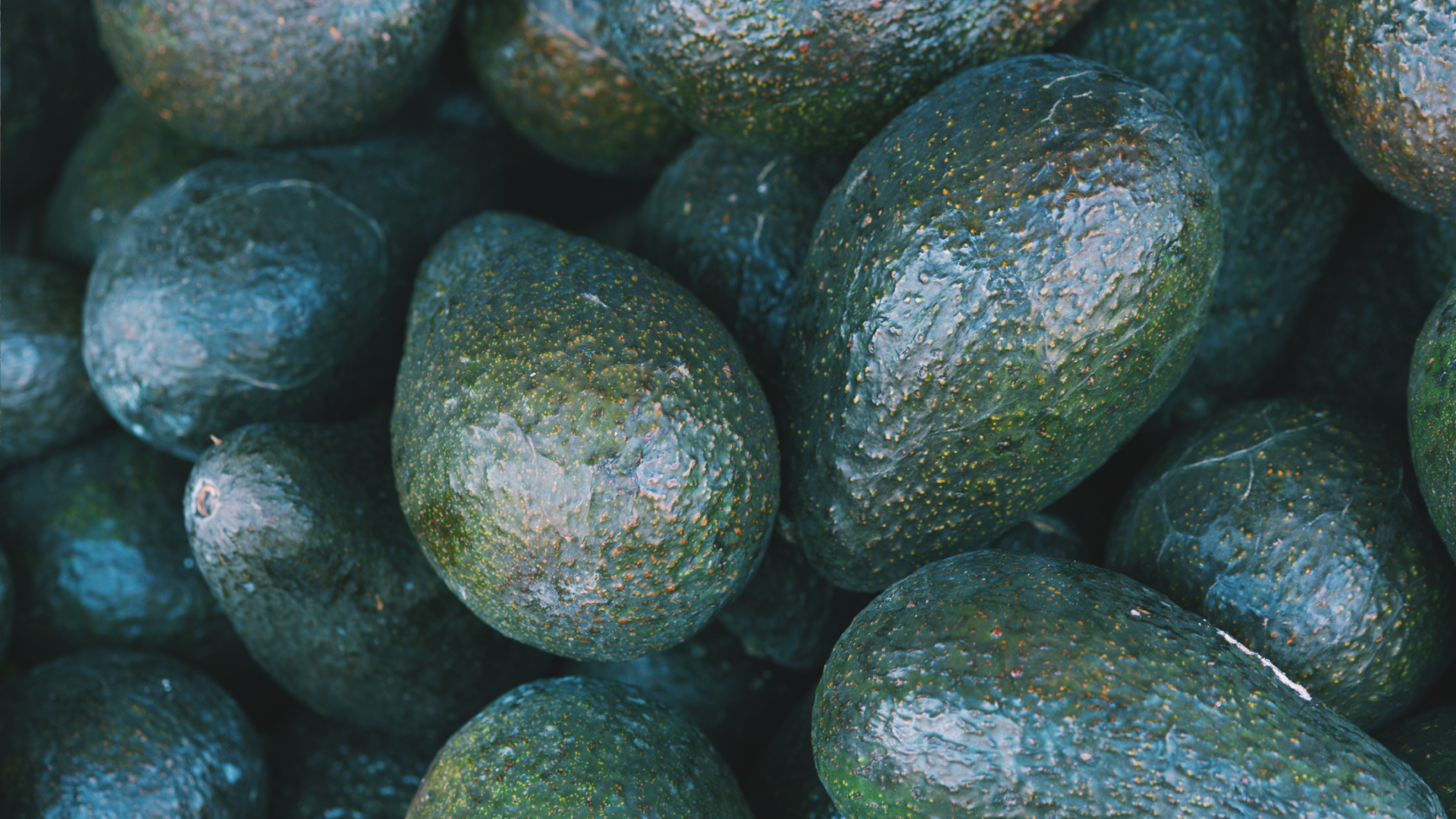 Aguacate alcanza los 74 pesos por kilo en mercados de México