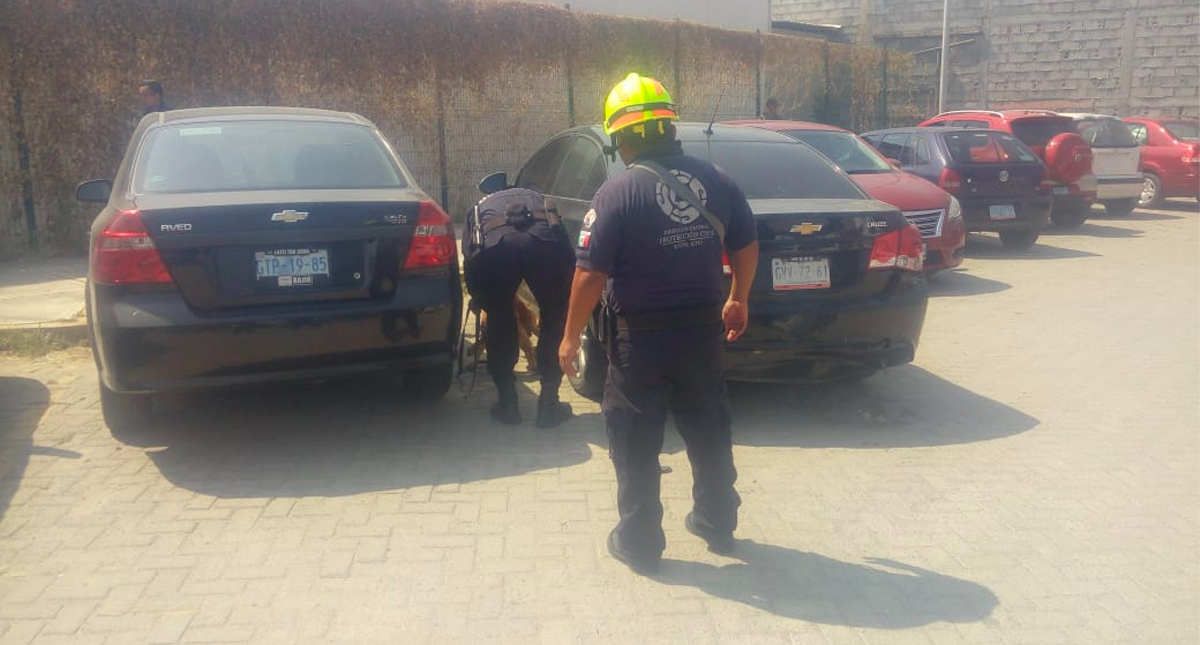 Desalojan Poder Judicial y la Fiscalía de León por amenaza de bomba