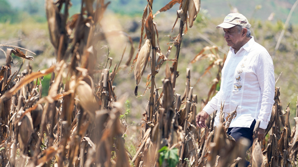 EZLN en su derecho a oponerse a Tren Maya: López Obrador