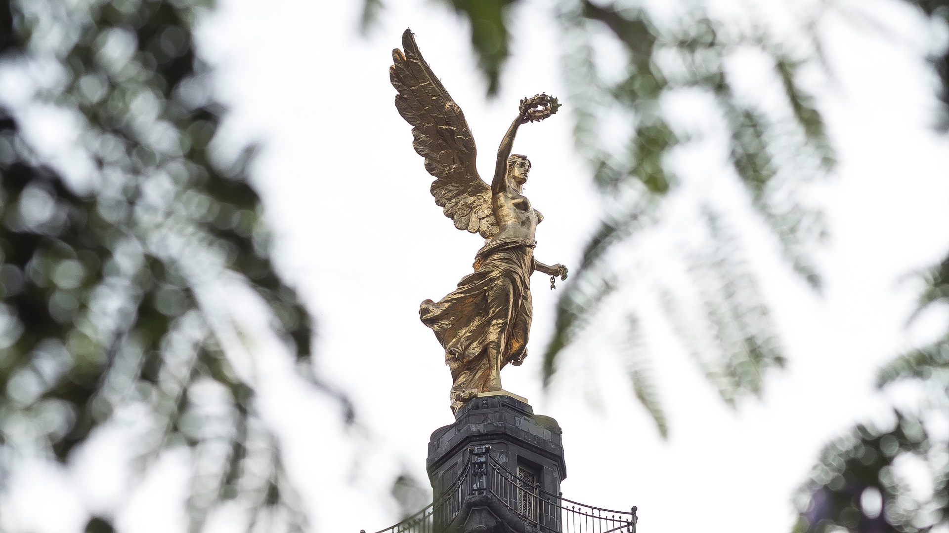 Yo sostengo que está muy bien la economía: AMLO