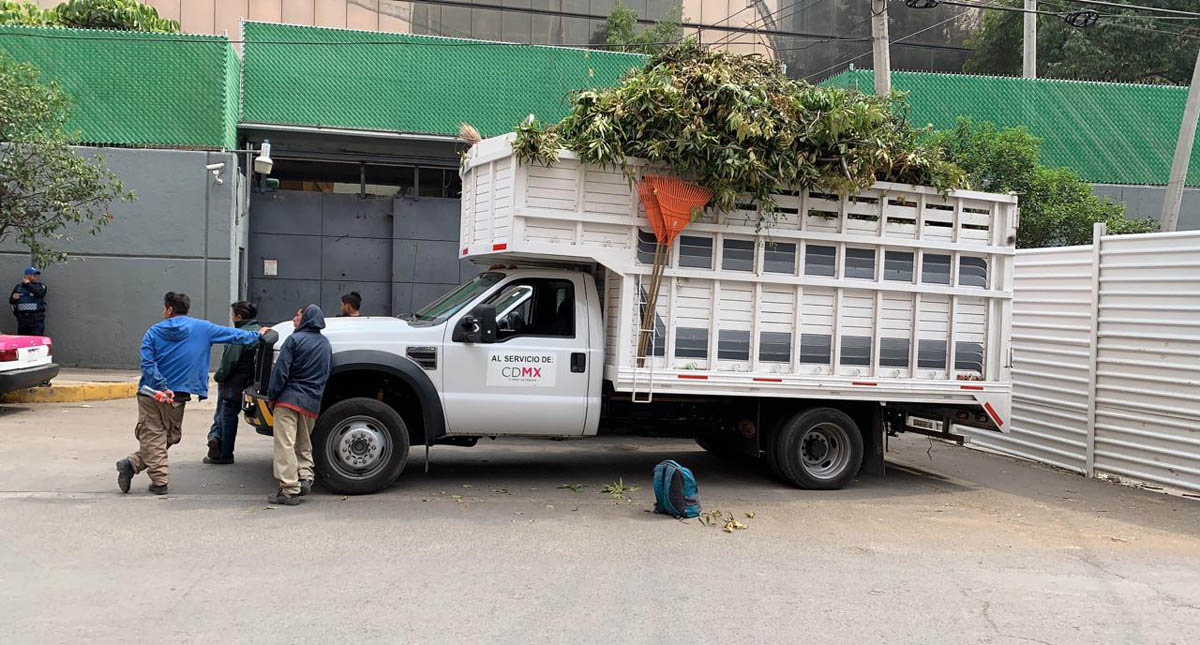 #Video Detienen a nueve personas por talar 60 árboles en Coyoacán #Video Detienen a nueve personas por talar 60 árboles en Coyoacán