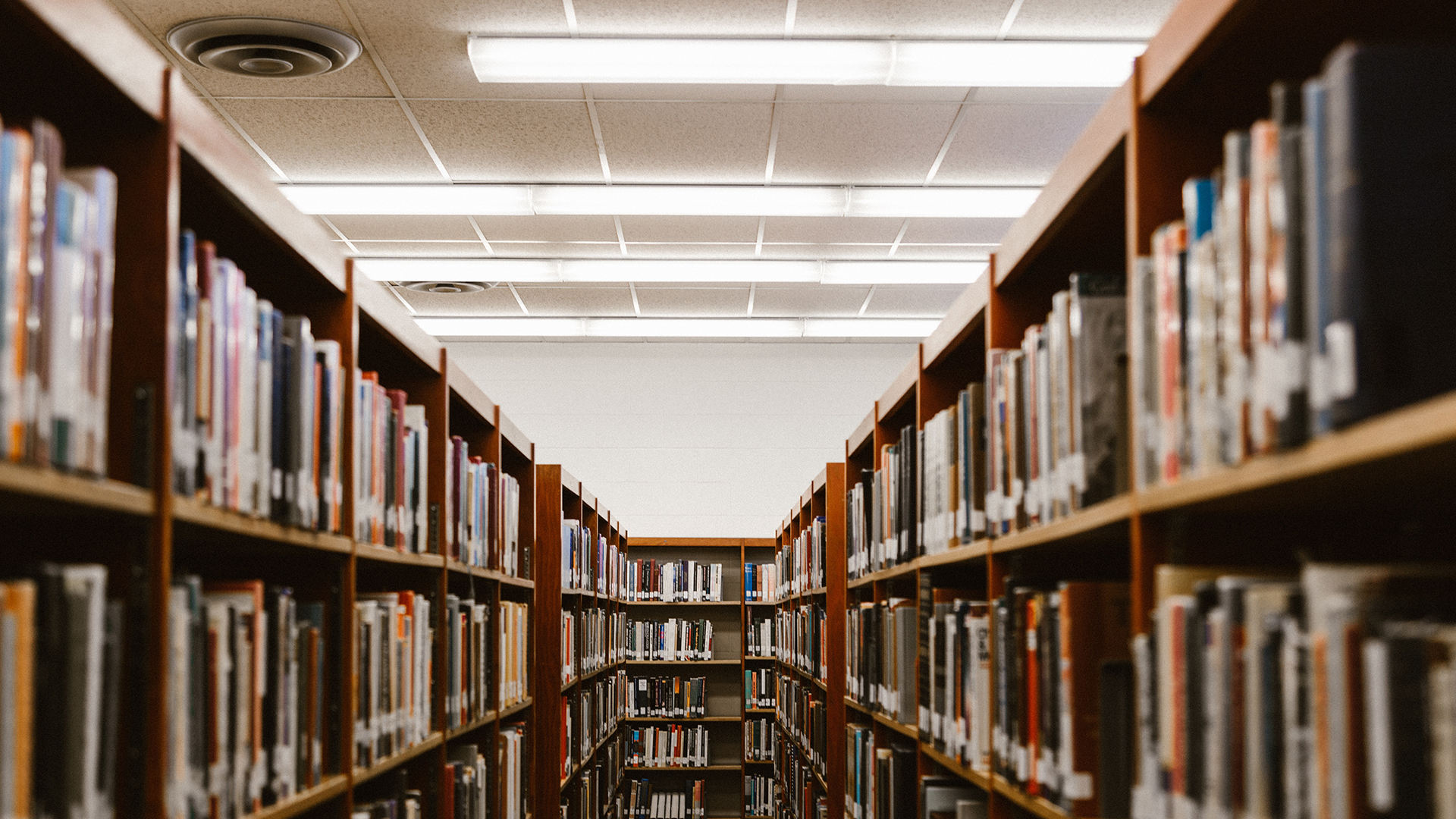 A transformar vidas con la educación