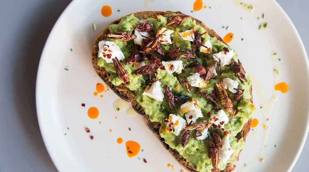 Recomendaciones para el fin de semana - boron