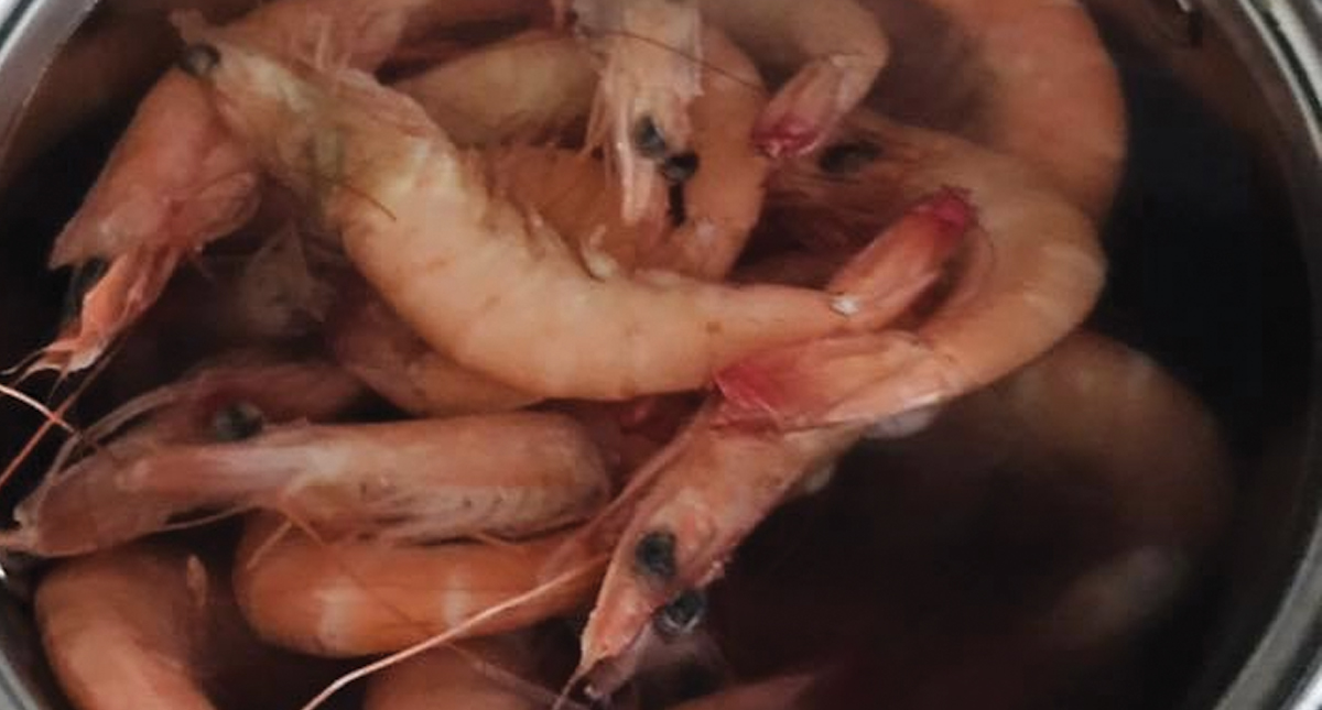 Encuentran cocaína en camarones en Reino Unido Encuentran cocaína en camarones en Reino Unido