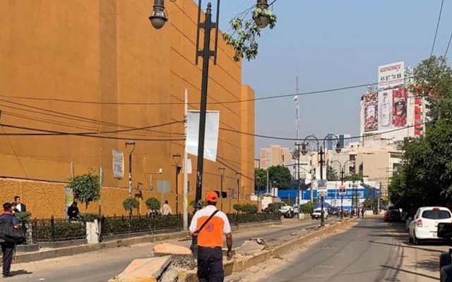 #Video Detienen a nueve personas por talar 60 árboles en Coyoacán - camellon-cuyos-arboles-fueron-talados-640x400