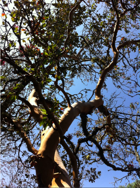 Ahí, donde las llamas no te alcancen