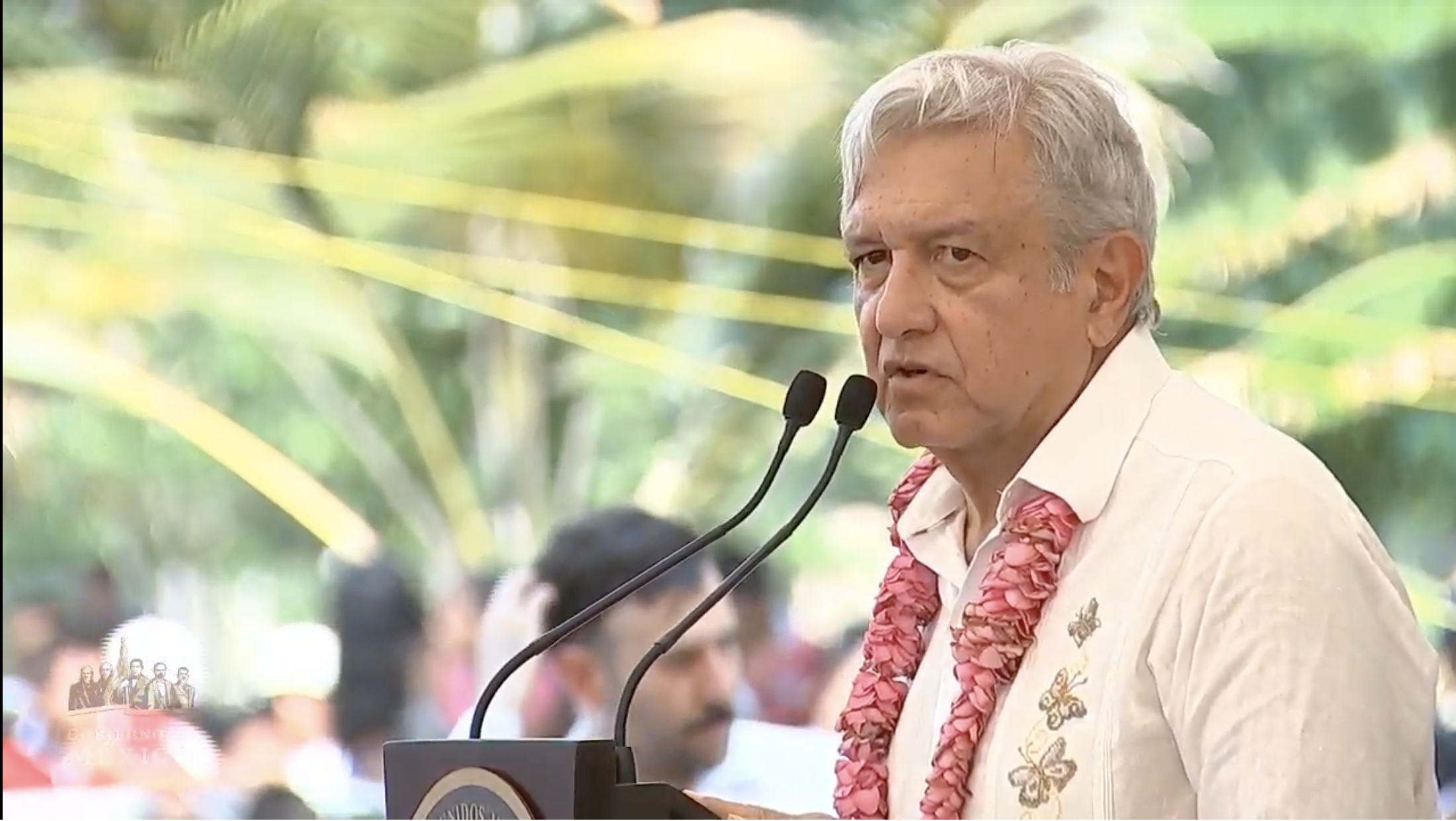 Sembrando Vida desde Vivero del ejido Nuevo Francisco León