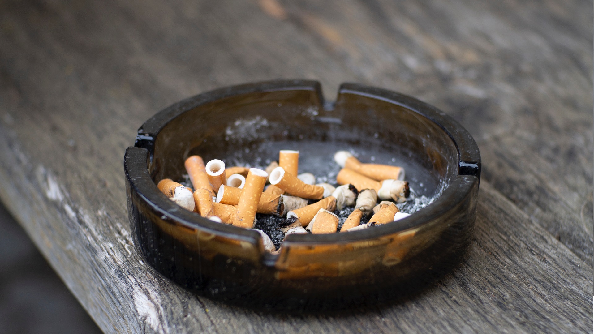 Colillas de cigarro contaminan más los océanos que los popotes