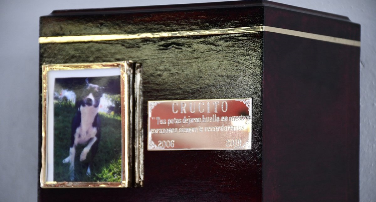 Bomberos de Jalisco montan guardia de honor por muerte de su mascota - cenizas-de-crucito