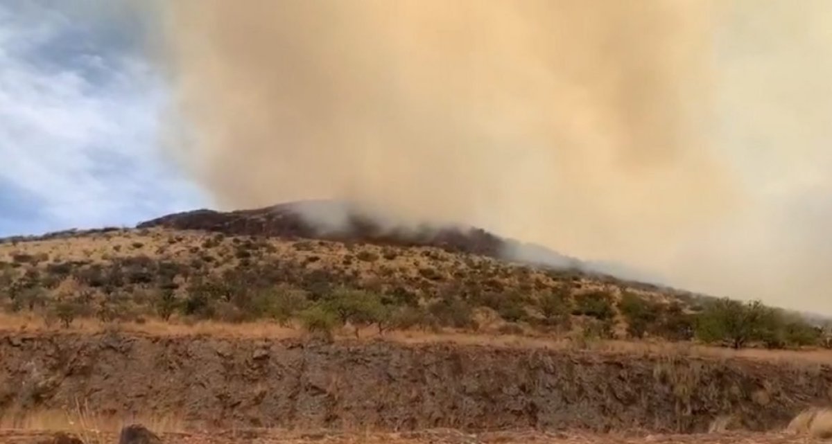 Incendio en el Cerro de la Venta, en San Juan del Río