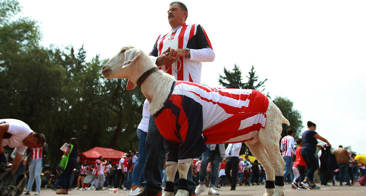 Chivas en problemas de descenso para el Apertura 2019