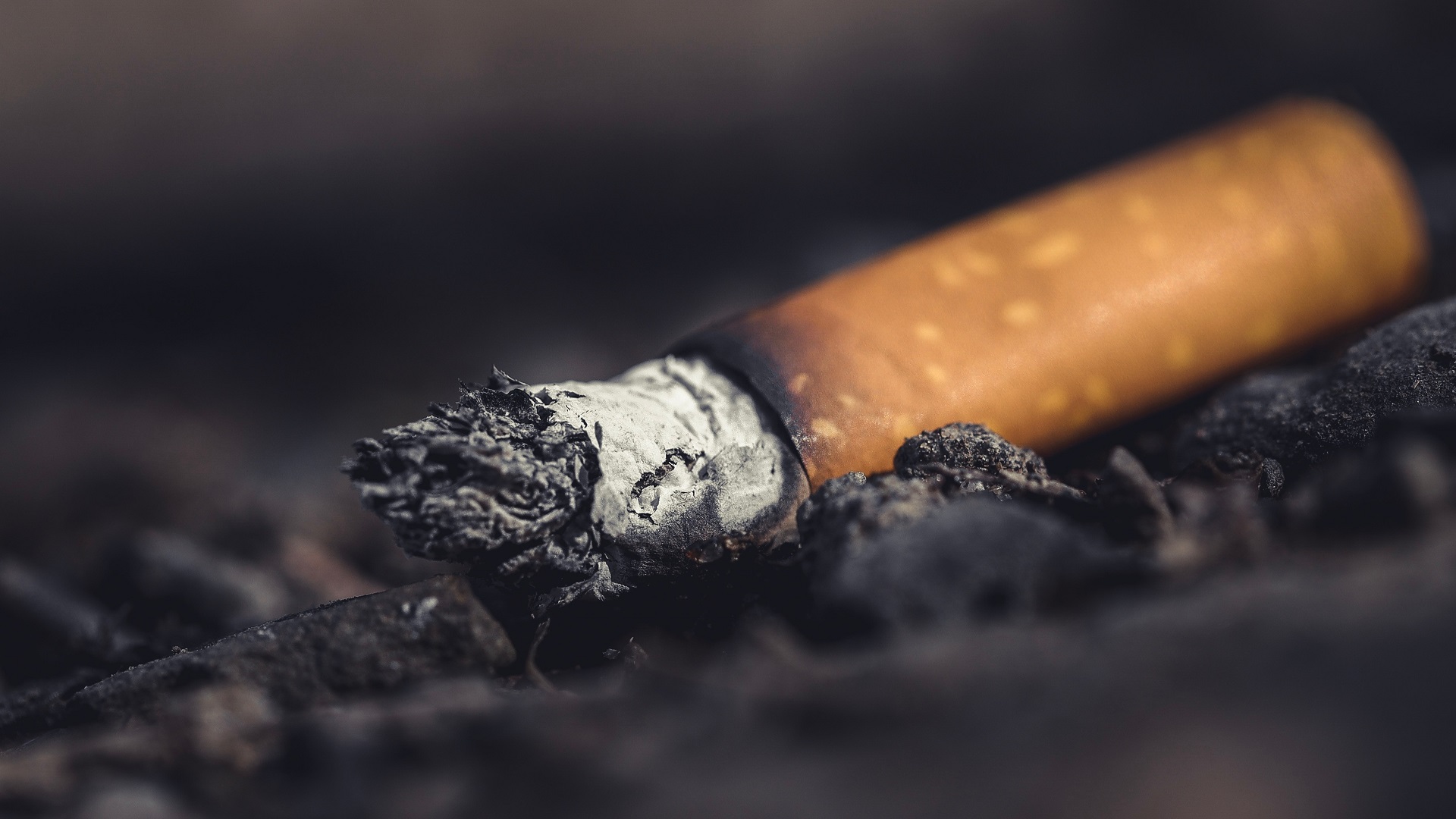 #Video Los pulmones de un hombre que fumó una cajetilla diaria