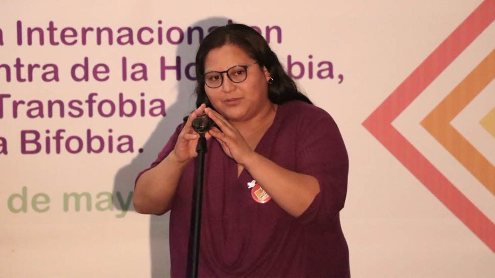 Mario Delgado, nuevo líder nacional de Morena; Citlalli Hernández, secretaria general - citlalli-hernandez