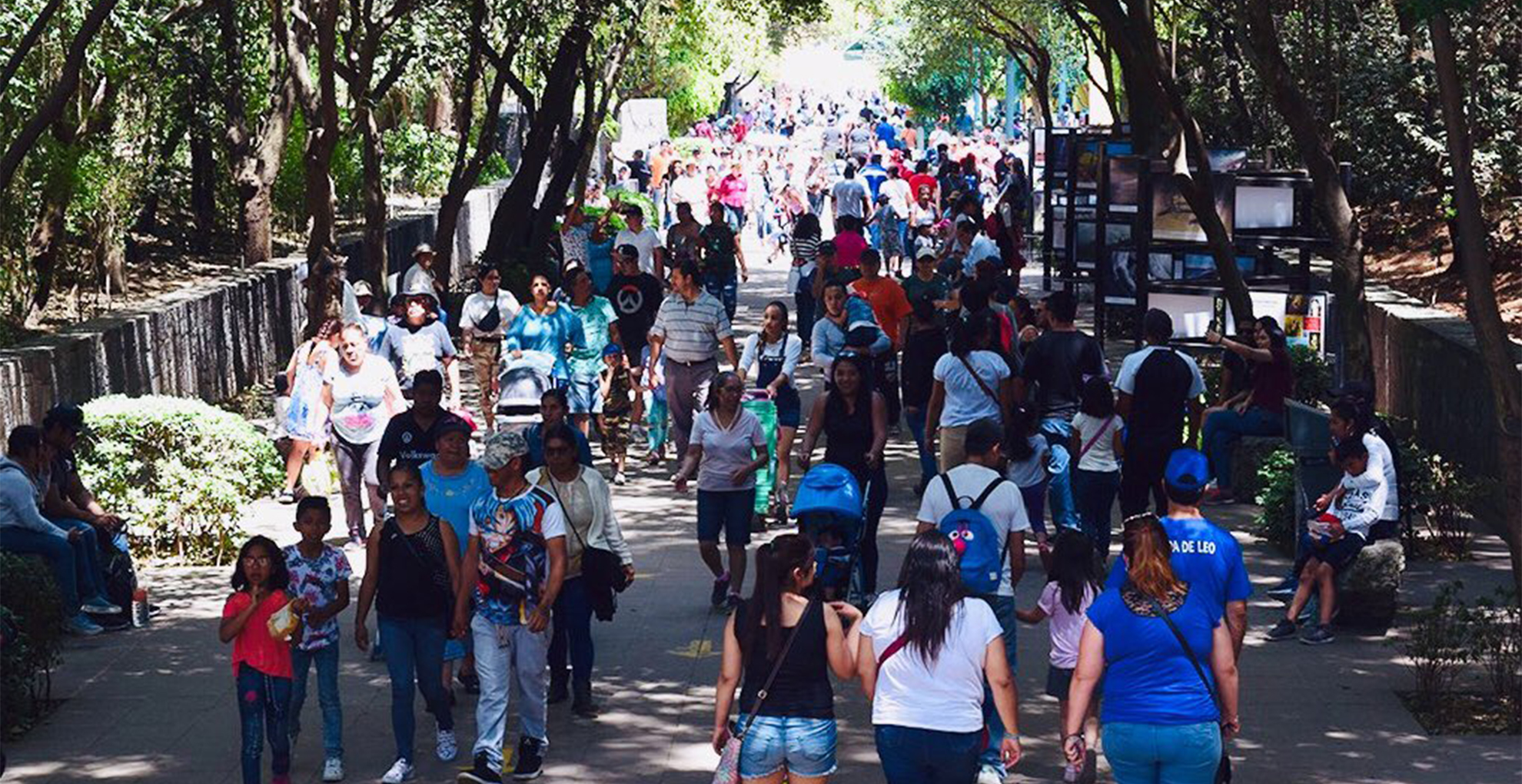 CAMe activa “alerta ambiental”; pide reducir emisiones y evitar actividades al aire libre