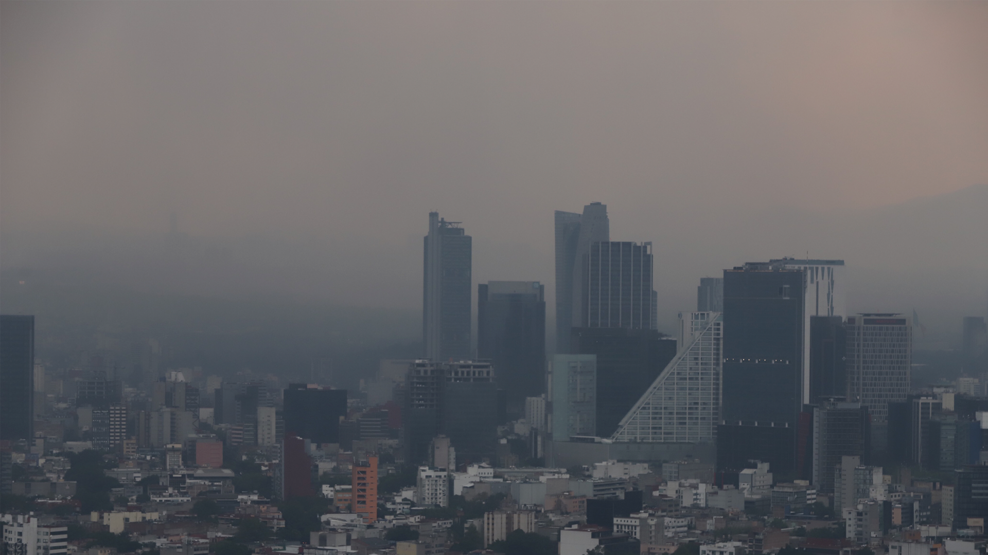 AMLO lleva a cabo política miope en materia ambiental: Iglesia católica