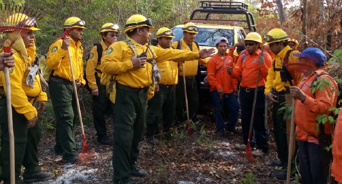 Conafor reporta 115 incendios forestales en 21 estados - combatientes-de-incendios-forestales