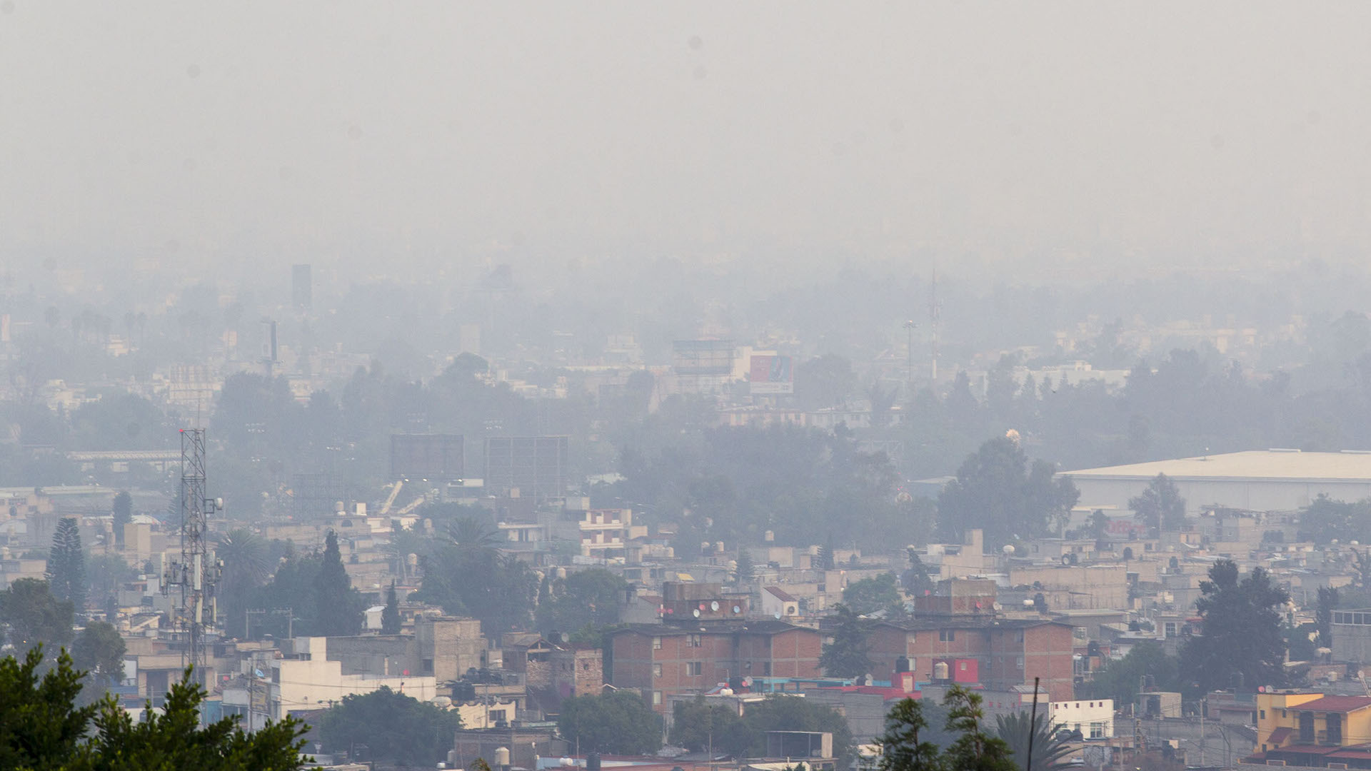 Solicitan organizaciones ambientales al Gobierno de México atender emergencia climática