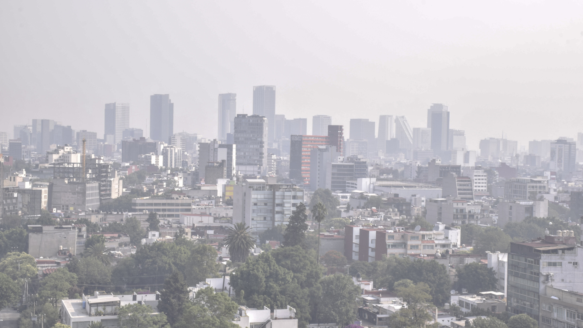 Continuarán altos niveles de contaminación en el país: Hernández Unzón