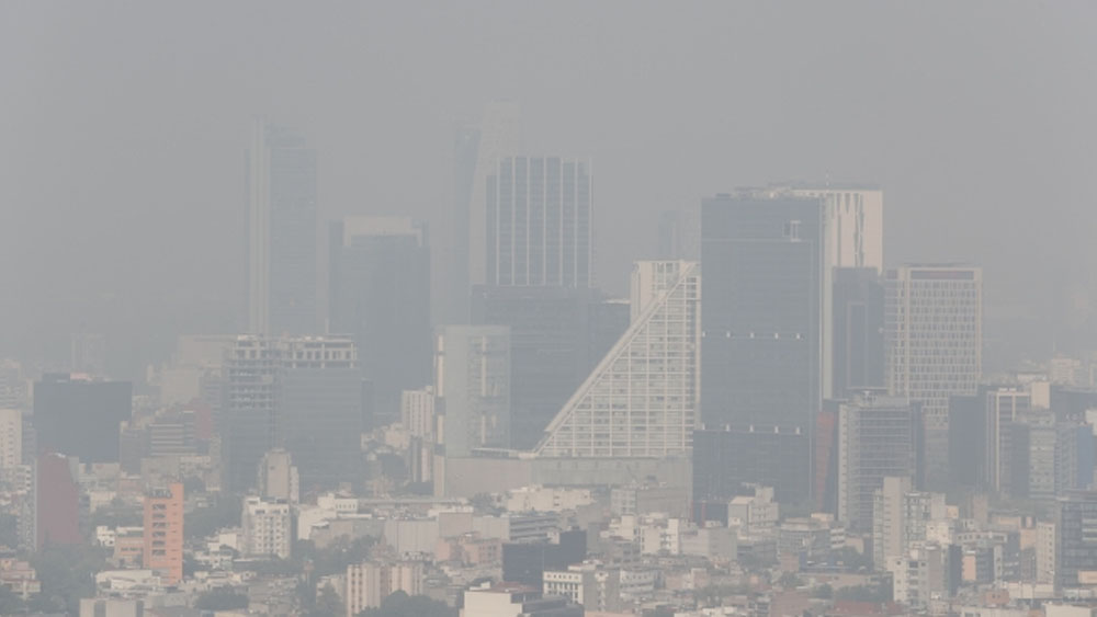 Ambientalista rechaza que ‘Hoy no Circula’ reduzca contaminación
