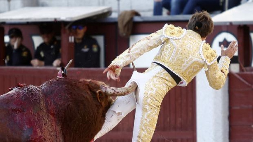 #Video Torero recibe cornada por detrás en Madrid