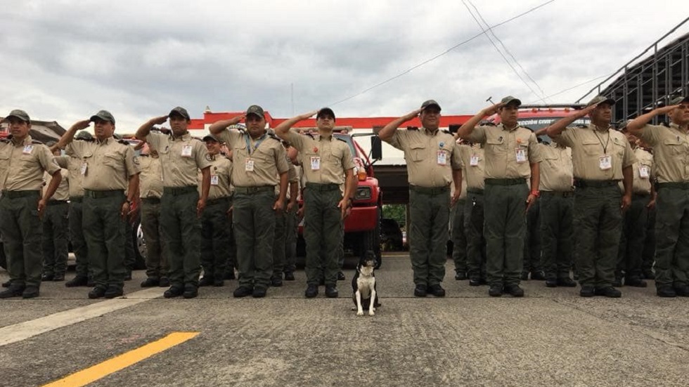 Bomberos de Jalisco montan guardia de honor por muerte de su mascota - crucito-en-pase-de-lista-de-los-bomberos-de-jalisco