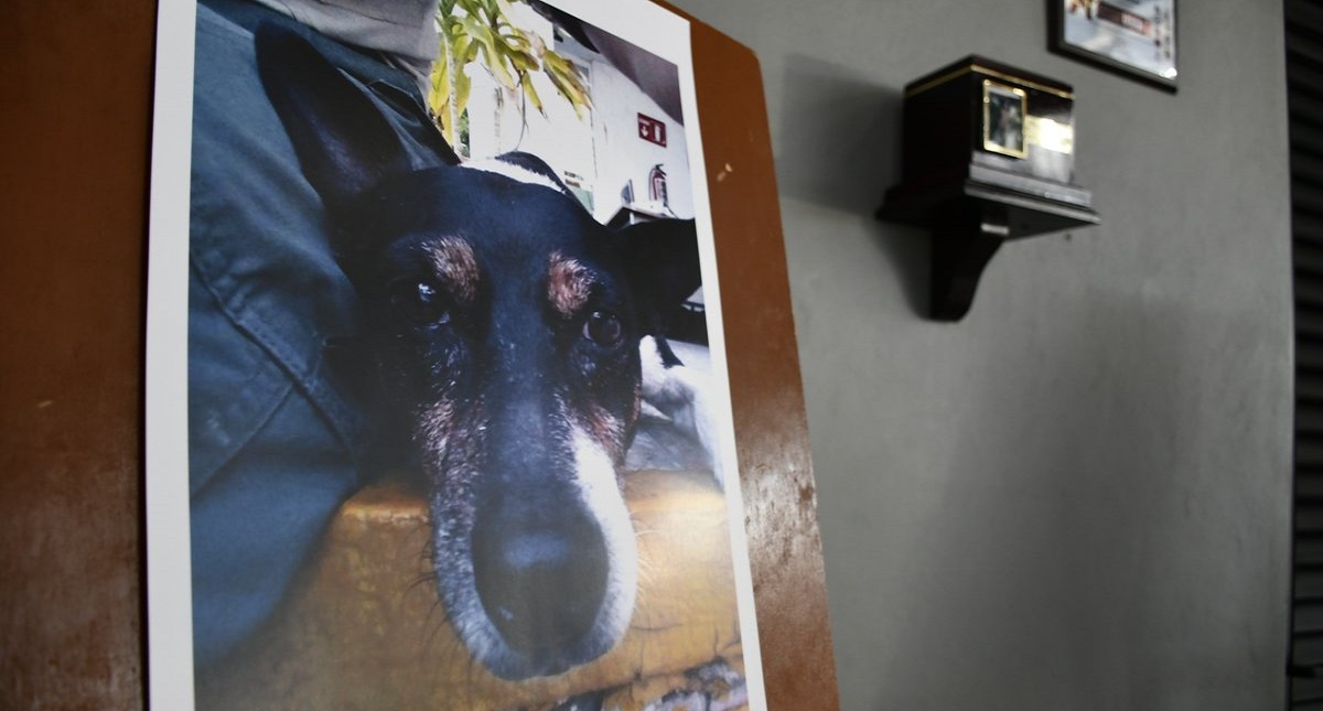 Bomberos de Jalisco montan guardia de honor por muerte de su mascota