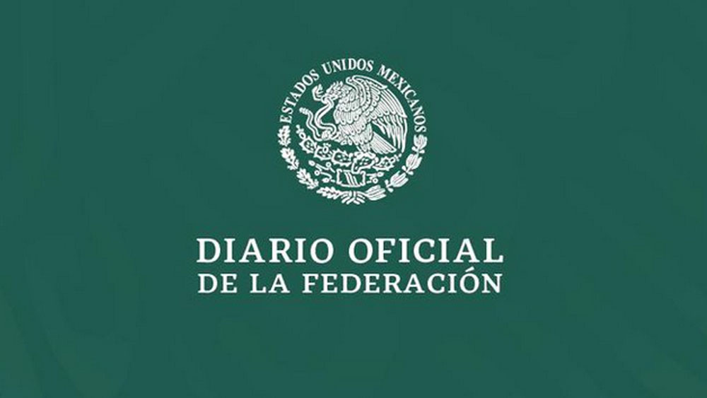 Diario Oficial solo se publicará en forma electrónica