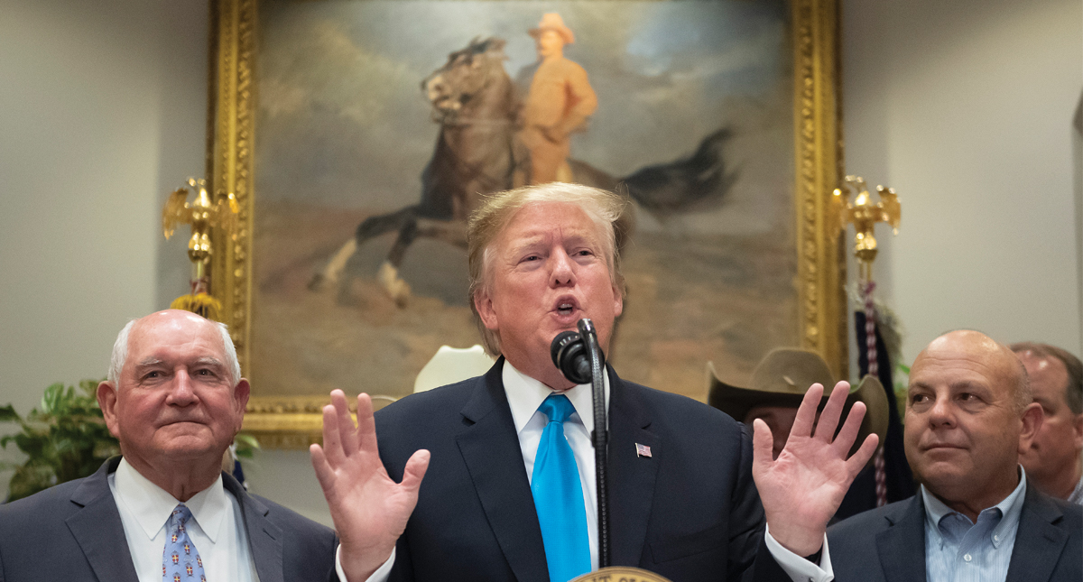 Trump lamenta liberación de ‘talibán estadounidense’