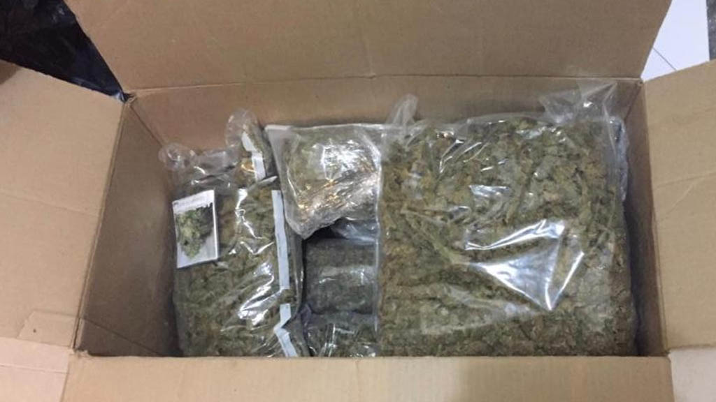 Sedena destruye 15 mil kilos de drogas y 40 mil pastillas psicotrópicas