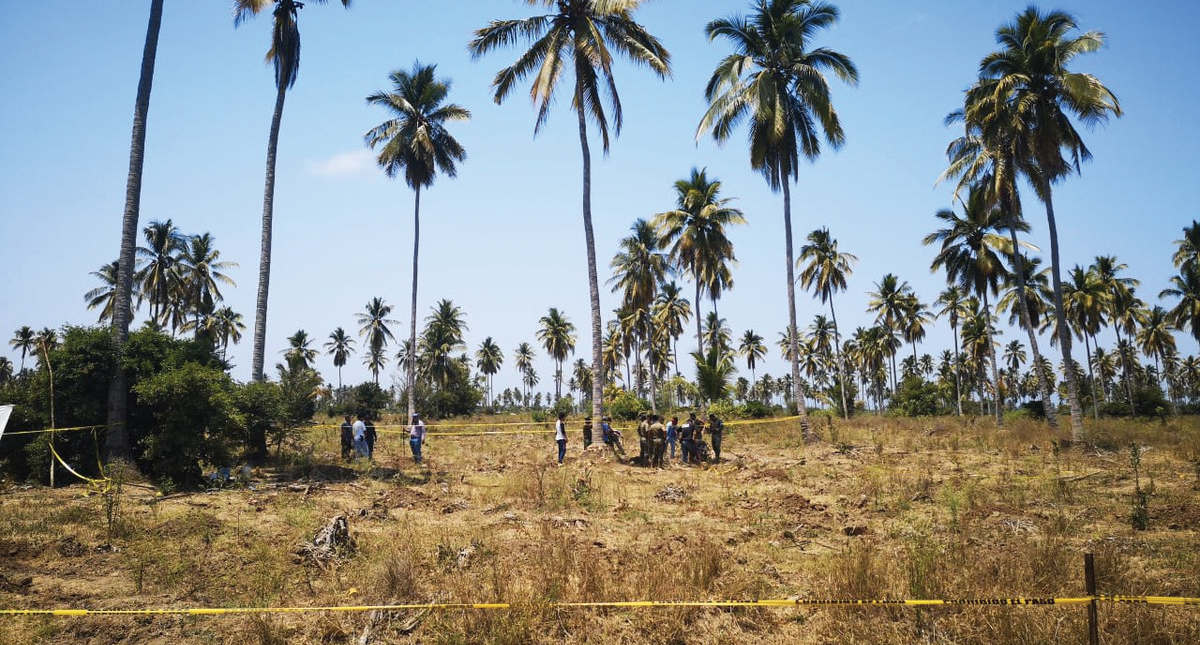 Localizan 10 cuerpos en fosas clandestinas en Colima