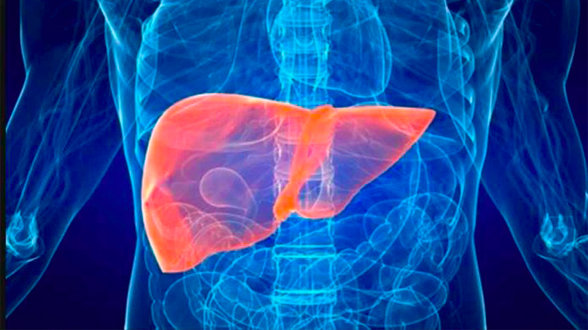 UNAM patenta medicamento para proteger hígado de personas con SIDA