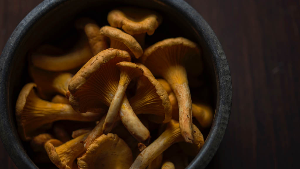 Denver despenaliza los hongos alucinógenos