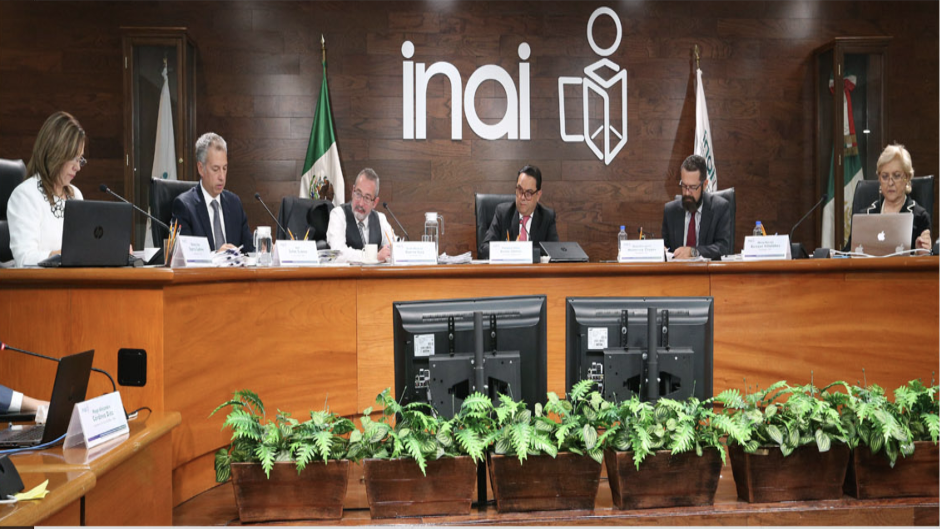 Sectur debe informar sobre empresas encargadas de estudios del Tren Maya: INAI