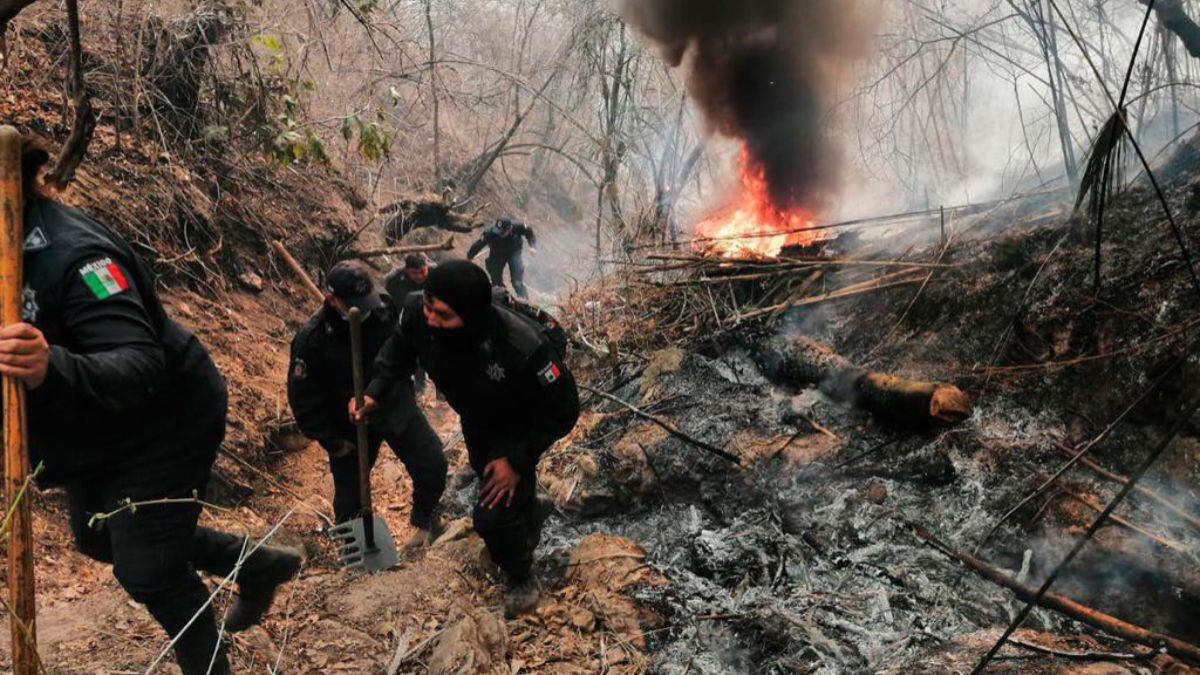 Más de 200 personas combaten incendio en Chilpancingo