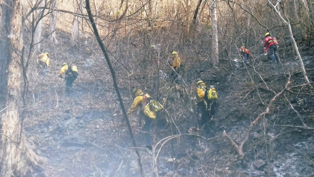 Emiten Declaratoria de Emergencia en 11 municipios de Oaxaca por incendios