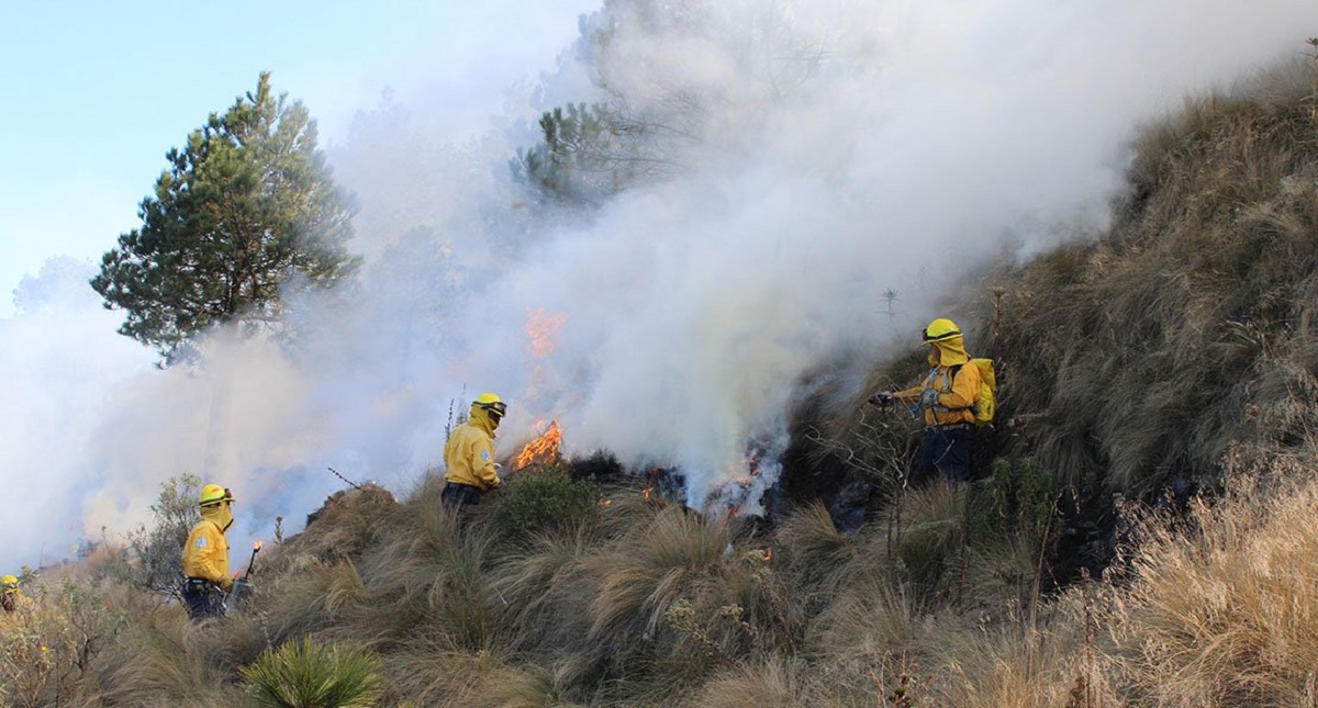 Suman cinco mil incendios forestales durante 2019 en México
