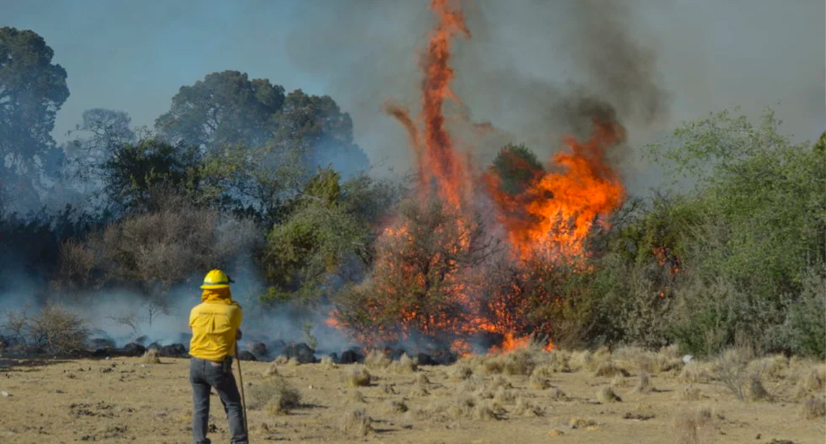 Incendio forestal activo en Coahuila ha consumido más de 310 hectáreas