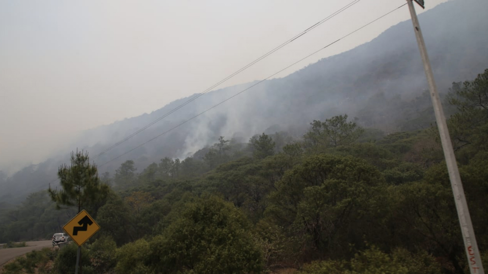 Incendio en Sierra Gorda de Querétaro pudo haber sido provocado