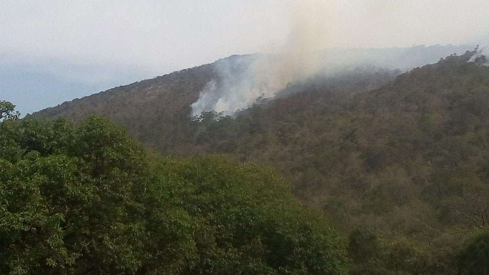 Controlan en 70 por ciento incendio en Sierra Gorda de Querétaro