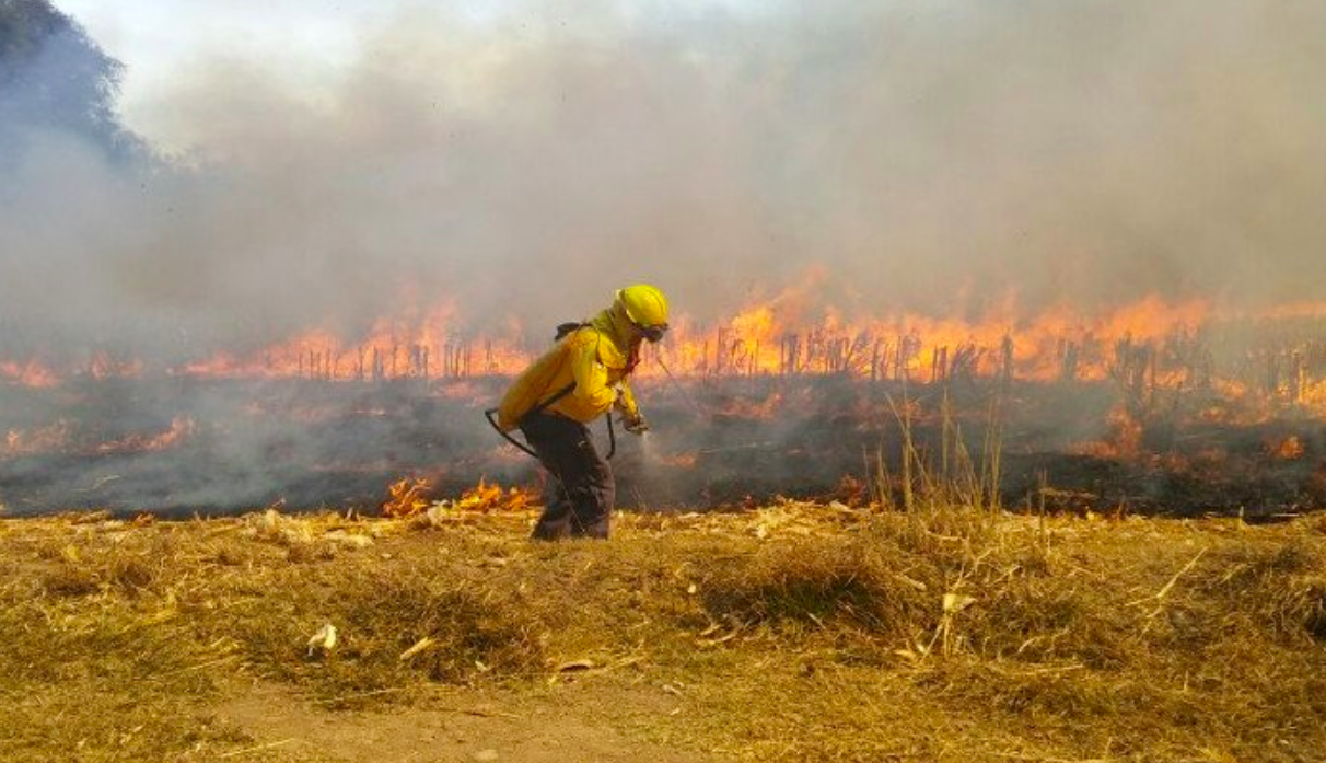 Emiten declaratoria de emergencia por incendios en Chiapas